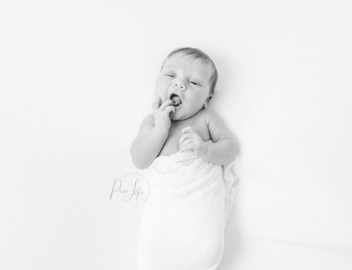 Behind the scenes – Newborn Fotoshoot