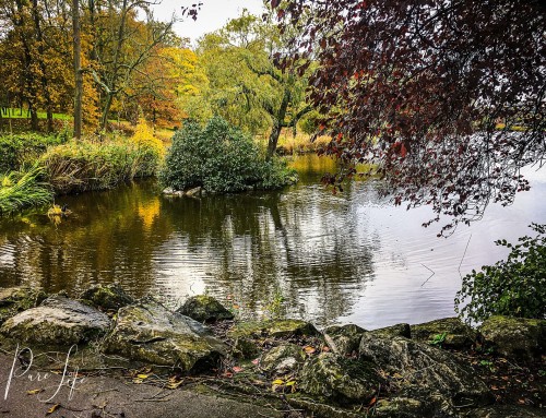 Photo shoot Location – Ponds of Woluwe (Park of Woluwe)