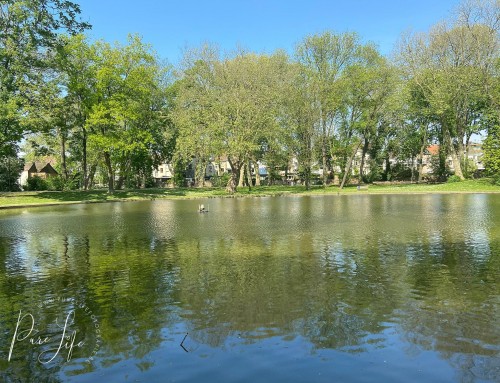 Hanssenspark à Vilvoorde