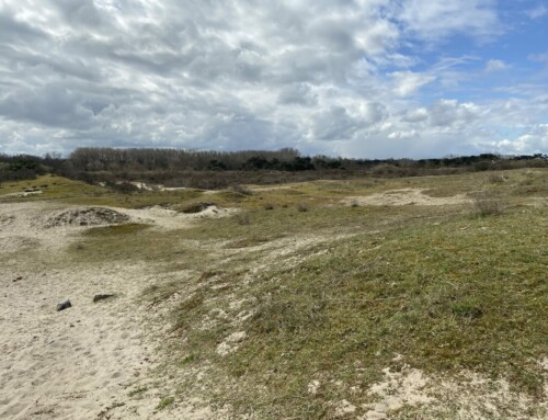 ‘t Zwin à Knokke-Heist