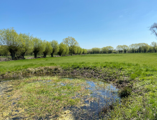 Bomputten in Vilvoorde