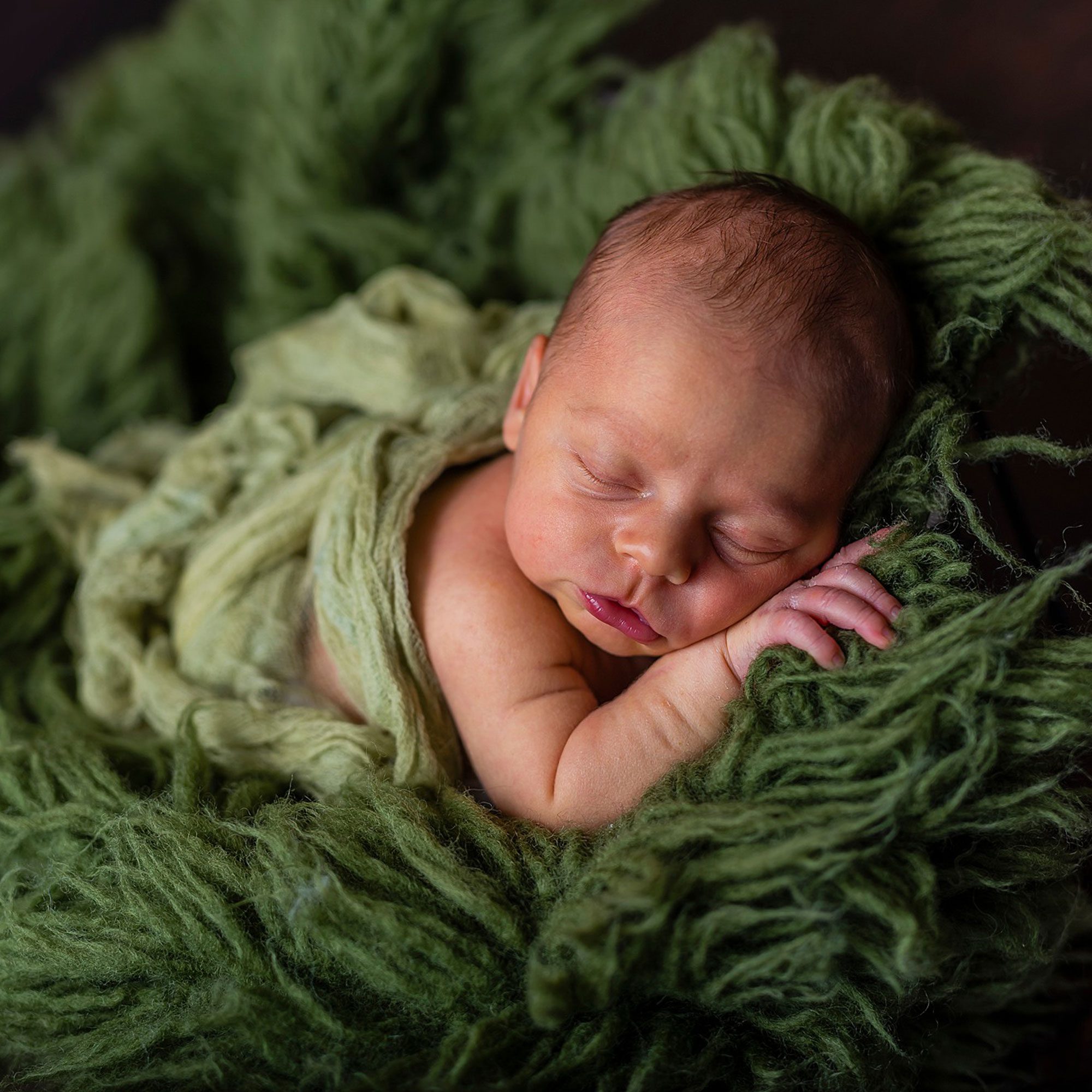 professional newborn photographer professional newborn photographer