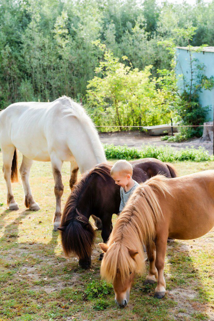 Ponyland-Fotoshoot-11