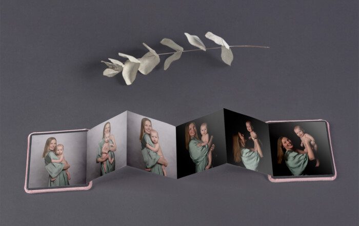 ACCORDION MINI BOOK2 EN