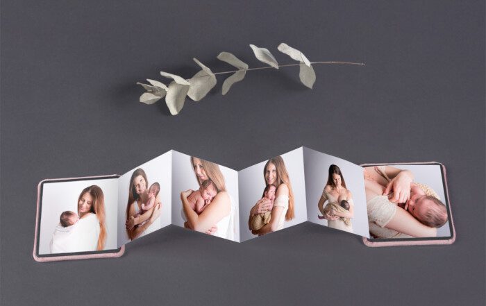 Accordion Mini Book2